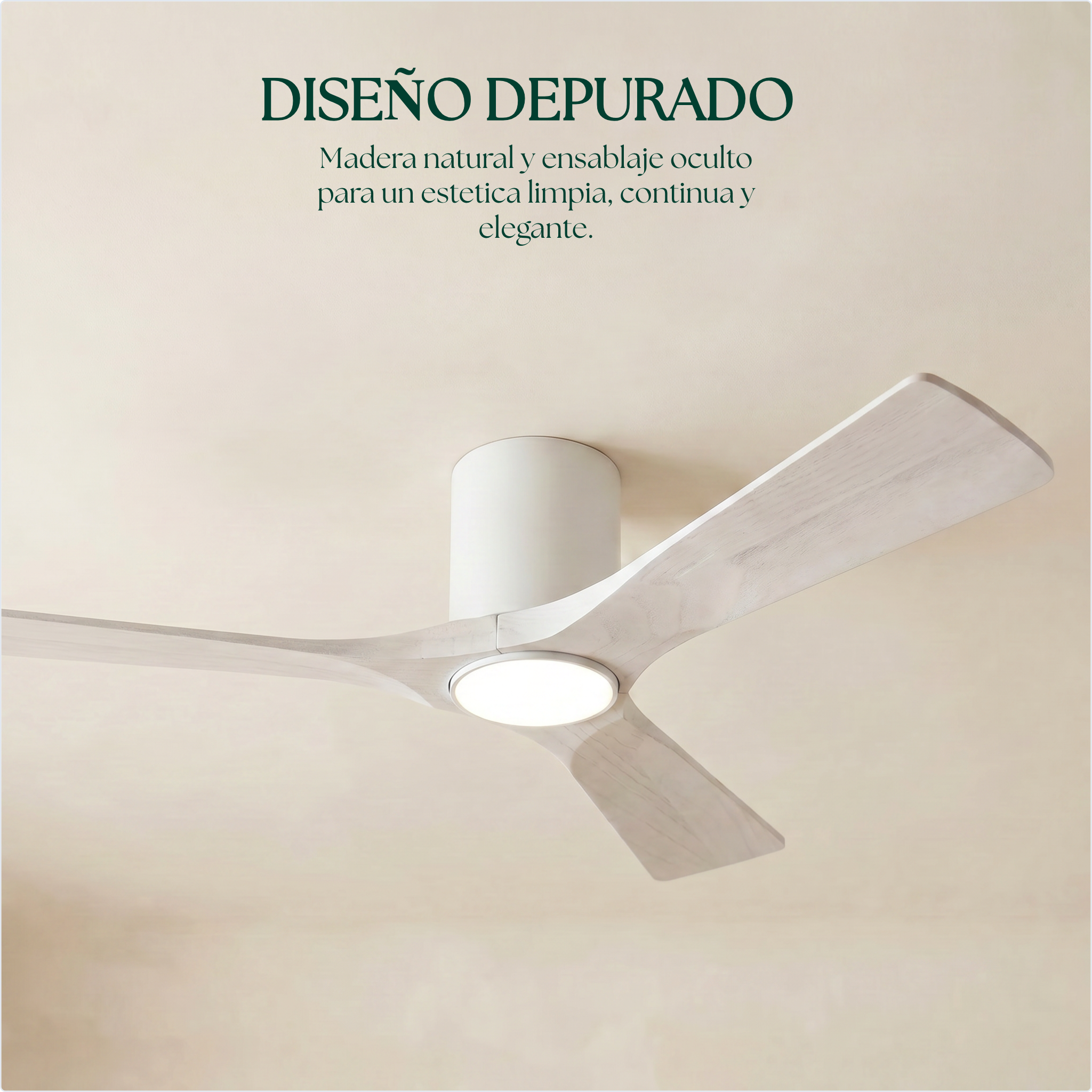 Etoile Wooden Ceiling Fan 132 cm & 112 cm